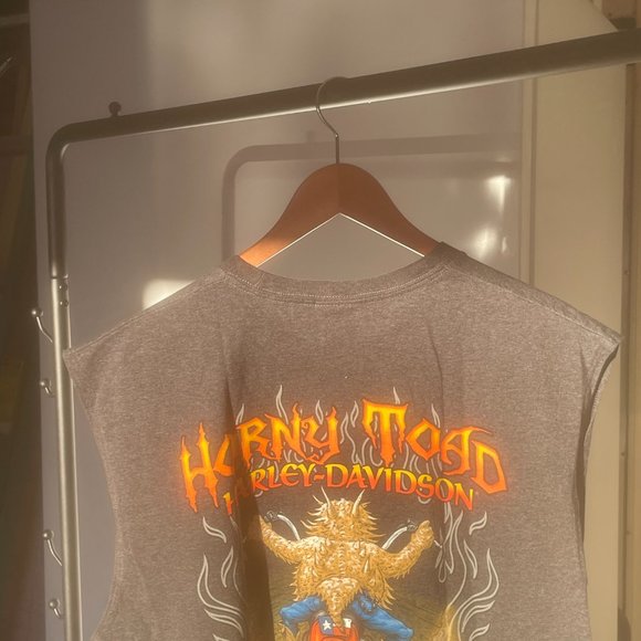 Gray Multi-Color Horny Toad Temple Texas Authentic 2007 Harley Davidson Tank XL - Picture 4 of 4